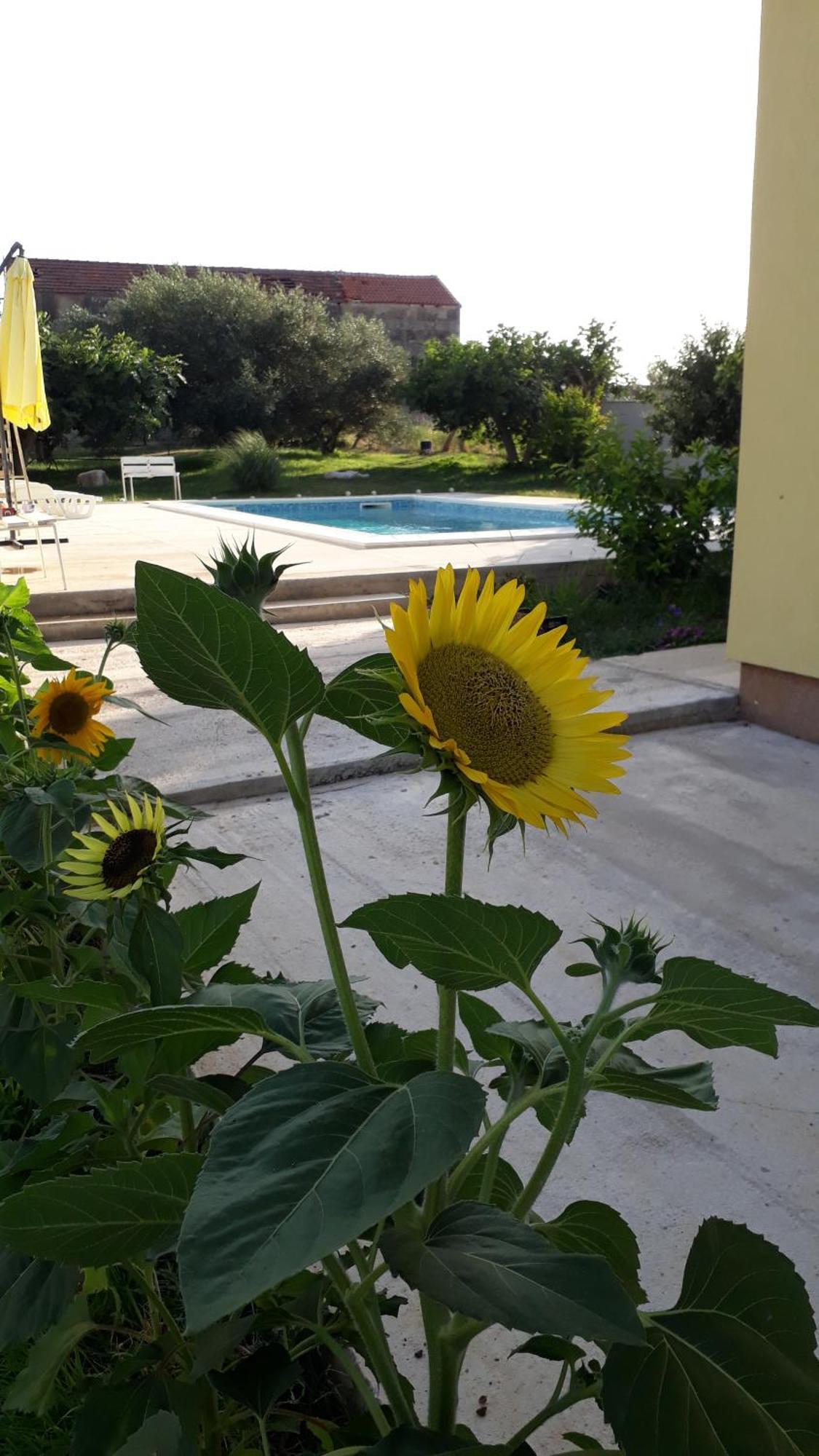 Villa Kutija Sveti Filip i Jakov Exterior foto